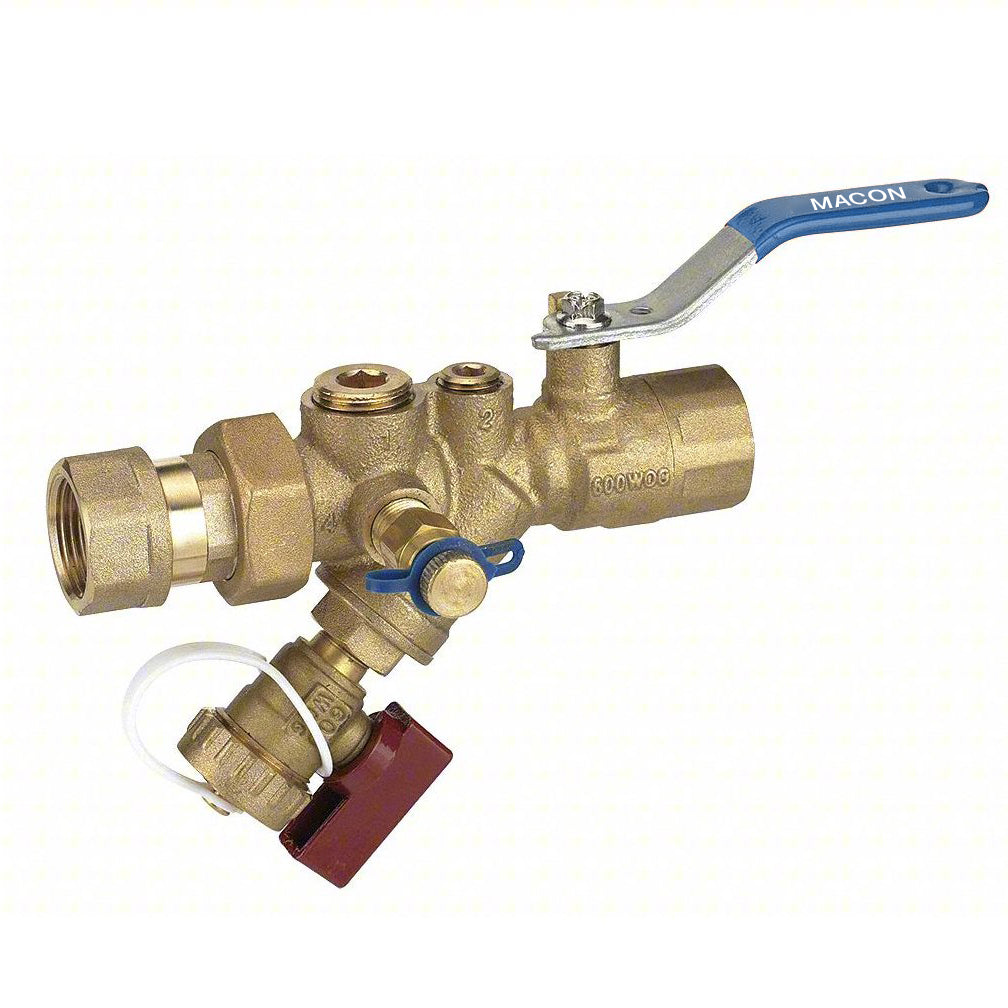 Macon SV1E FNPT Combination Strainer Valve – Athena Supply